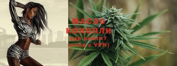 ГАЛЛЮЦИНОГЕННЫЕ ГРИБЫ Дмитриев