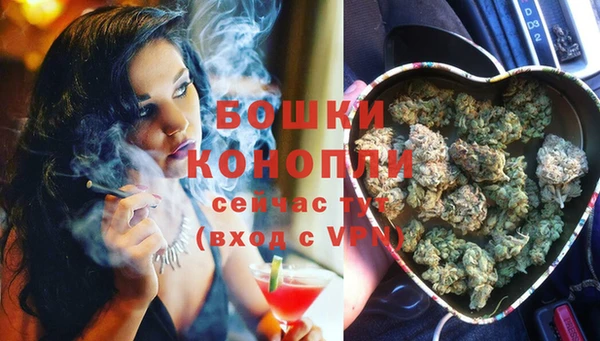ГАЛЛЮЦИНОГЕННЫЕ ГРИБЫ Дмитриев