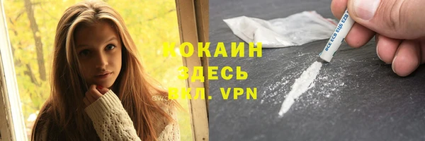 ГАЛЛЮЦИНОГЕННЫЕ ГРИБЫ Дмитриев