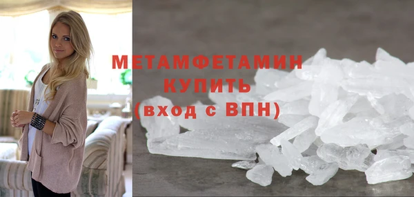 ГАЛЛЮЦИНОГЕННЫЕ ГРИБЫ Дмитриев