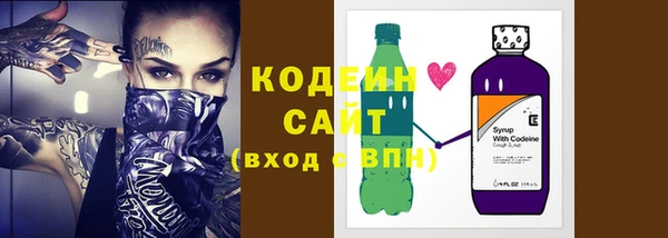 хмурый Дмитровск
