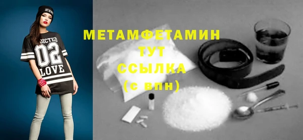 ГАЛЛЮЦИНОГЕННЫЕ ГРИБЫ Дмитриев