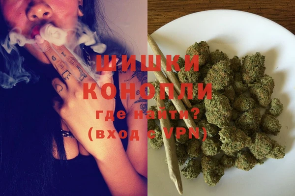 хмурый Дмитровск