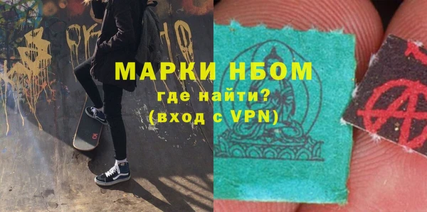 ГАЛЛЮЦИНОГЕННЫЕ ГРИБЫ Дмитриев