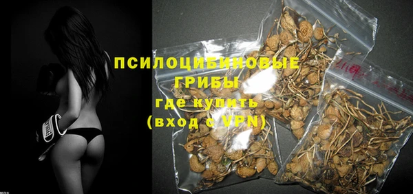 ГАЛЛЮЦИНОГЕННЫЕ ГРИБЫ Дмитриев