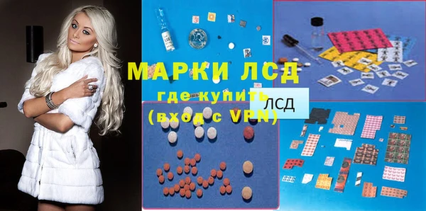 ГАЛЛЮЦИНОГЕННЫЕ ГРИБЫ Дмитриев