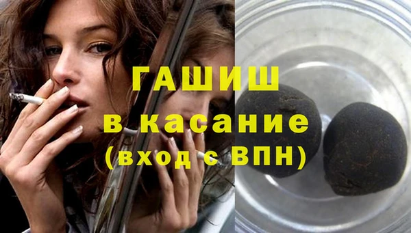 ГАЛЛЮЦИНОГЕННЫЕ ГРИБЫ Дмитриев