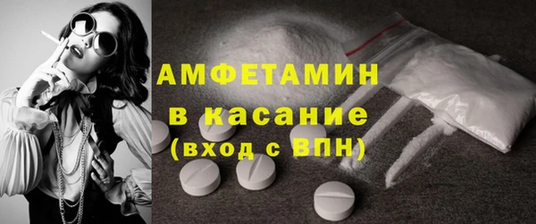 ГАЛЛЮЦИНОГЕННЫЕ ГРИБЫ Дмитриев
